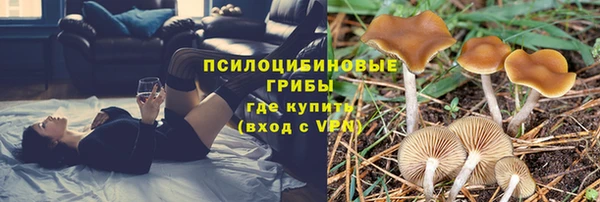 спиды Щигры