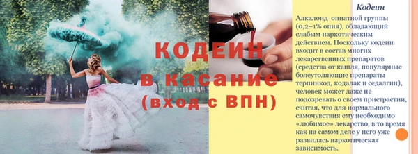 соль ск Ельня